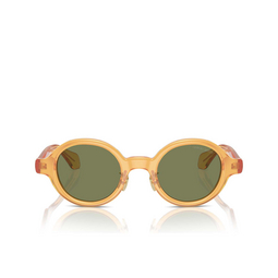 Lunettes de soleil Giorgio Armani AR8205 60632A transparent honey