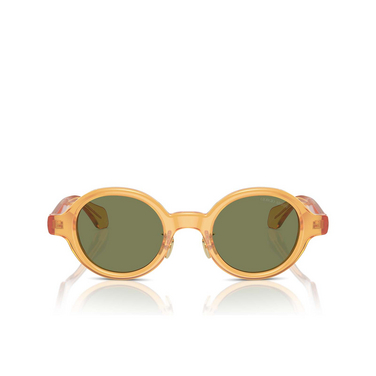 Gafas de sol Giorgio Armani AR8205 60632A transparent honey - Vista delantera