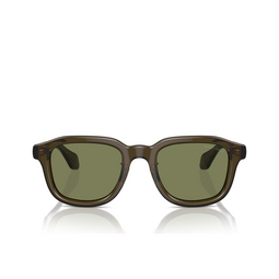 Gafas de sol Giorgio Armani AR8206 60612A transparent green