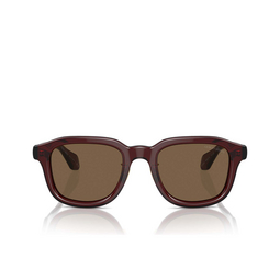 Occhiali da sole Giorgio Armani AR8206 606273 transparent brown