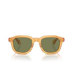 Lunettes de soleil Giorgio Armani AR8206 60632A transparent honey