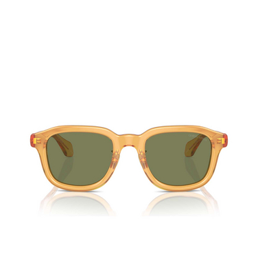 Gafas de sol Giorgio Armani AR8206 60632A transparent honey - Vista delantera