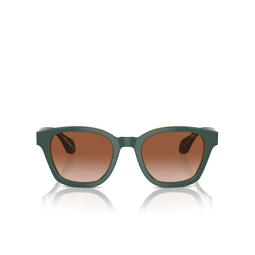 Lunettes de soleil Giorgio Armani AR8207 608613 top green / olive transparent