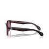 Giorgio Armani AR8207 Sunglasses 60888D top brown / transparent pink - product thumbnail 3/4