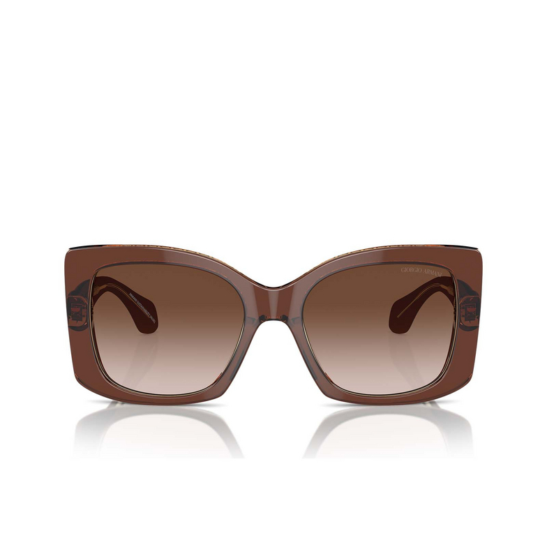 Giorgio Armani AR8208U Sunglasses 609013 top transparent brown / honey - 1/4
