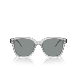 Occhiali da sole Giorgio Armani AR8210U 608056 transparent grey