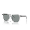 Lunettes de soleil Giorgio Armani AR8210U 608056 transparent grey - Vignette du produit 2/4