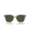 Giorgio Armani AR8210U Sunglasses 608331 transparent green - product thumbnail 1/4
