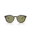 Gafas de sol Giorgio Armani AR8211 587914 havana - Miniatura del producto 1/4