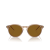 Giorgio Armani AR8211 Sunglasses 607233 transparent brown - product thumbnail 1/4