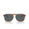 Gafas de sol Giorgio Armani AR8212 5932R5 transparent brown - Miniatura del producto 1/4