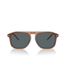 Gafas de sol Giorgio Armani AR8212 5932R5 transparent brown