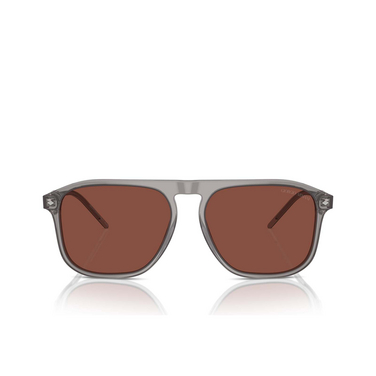 Giorgio Armani AR8212 Sunglasses 6070C5 transparent grey - front view