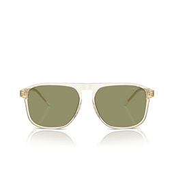 Gafas de sol Giorgio Armani AR8212 607714 transparent yellow