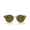 Gafas de sol Giorgio Armani AR8215 606573 matte brown horn - Miniatura del producto 1/4