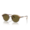 Gafas de sol Giorgio Armani AR8215 606573 matte brown horn - Miniatura del producto 2/4