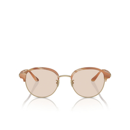 Gafas de sol Giorgio Armani AR8215 6067M4 matte honey horn