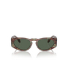 Giorgio Armani AR8216 Sunglasses 597771 havana green - product thumbnail 1/4