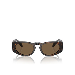 Lunettes de soleil Giorgio Armani AR8216 612473 havana