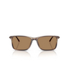 Occhiali da sole Giorgio Armani AR8218 6167M4 matte striped brown - anteprima prodotto 1/4