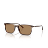 Occhiali da sole Giorgio Armani AR8218 6167M4 matte striped brown - anteprima prodotto 2/4