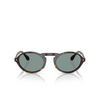 Lunettes de soleil Giorgio Armani AR8219U 587956 havana - Vignette du produit 1/4