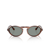 Lunettes de soleil Giorgio Armani AR8219U 616256 striped brown - Vignette du produit 1/4