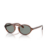 Gafas de sol Giorgio Armani AR8219U 616256 striped brown - Miniatura del producto 2/4