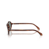 Lunettes de soleil Giorgio Armani AR8219U 616256 striped brown - Vignette du produit 3/4