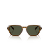 Giorgio Armani AR8220 Sunglasses 617231 transparent green - product thumbnail 1/4