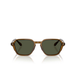 Giorgio Armani AR8220 Sunglasses 617231 transparent green