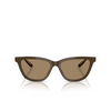 Giorgio Armani AR8221 Sunglasses 595753 brown - product thumbnail 1/4