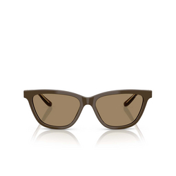 Giorgio Armani AR8221 Sonnenbrillen 595753 brown