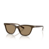 Giorgio Armani AR8221 Sunglasses 595753 brown - product thumbnail 2/4