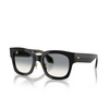 Giorgio Armani AR8223 Sonnenbrillen 500111 black - Produkt-Miniaturansicht 2/4