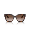 Giorgio Armani AR8223 Sunglasses 502613 havana - product thumbnail 1/4