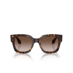 Lunettes de soleil Giorgio Armani AR8223 502613 havana