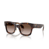 Giorgio Armani AR8223 Sunglasses 502613 havana - product thumbnail 2/4