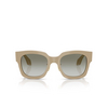 Giorgio Armani AR8223 Sunglasses 61618E greige - product thumbnail 1/4