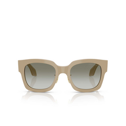 Lunettes de soleil Giorgio Armani AR8223 61618E greige