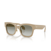 Giorgio Armani AR8223 Sunglasses 61618E greige - product thumbnail 2/4