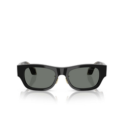 Gafas de sol Giorgio Armani AR8224 500111 black