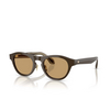 Giorgio Armani AR8225 Sunglasses 619473 solid dark brown - product thumbnail 2/4