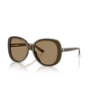 Giorgio Armani AR8229U Sunglasses 595753 brown - product thumbnail 2/4