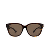 Gucci GG1430SK Sunglasses 002 havana - product thumbnail 1/4