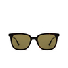 Gucci GG1493S Sunglasses 002 havana - product thumbnail 1/4