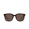 Gucci GG1498SK Sunglasses 002 havana - product thumbnail 1/4