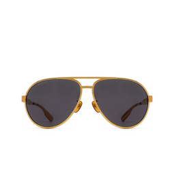 Gucci GG1513S Sunglasses 001 gold