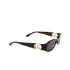 Gucci GG1660S Sunglasses 002 havana - product thumbnail 2/4