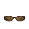 Gucci GG1680S Sonnenbrillen 004 havana - Produkt-Miniaturansicht 1/4